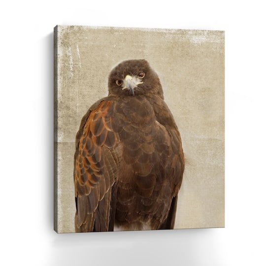 What? Canvas Giclee
